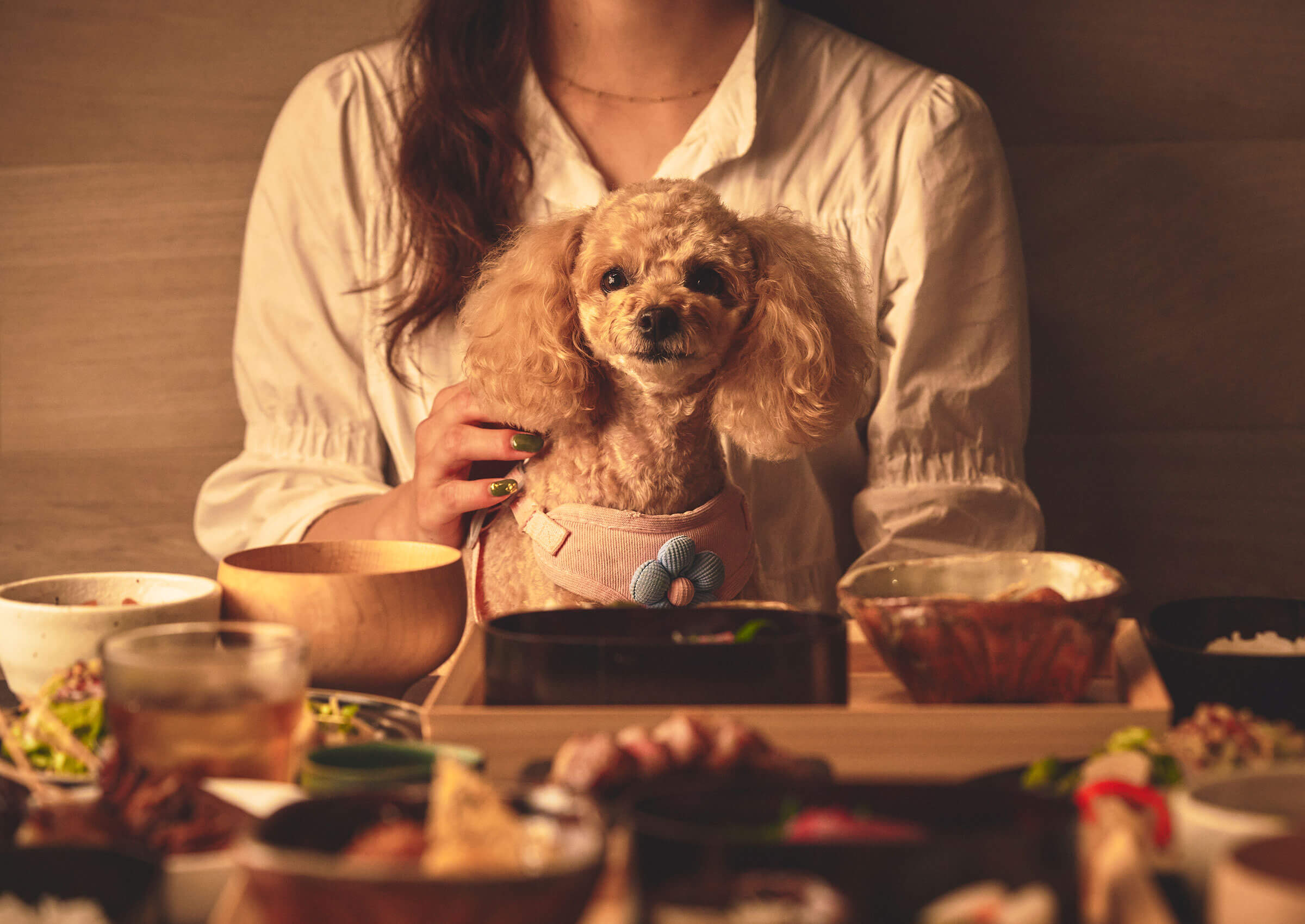 お食事「和食OTE」イメージ