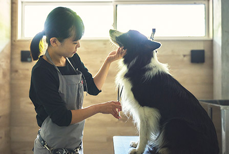 トリミングサロン