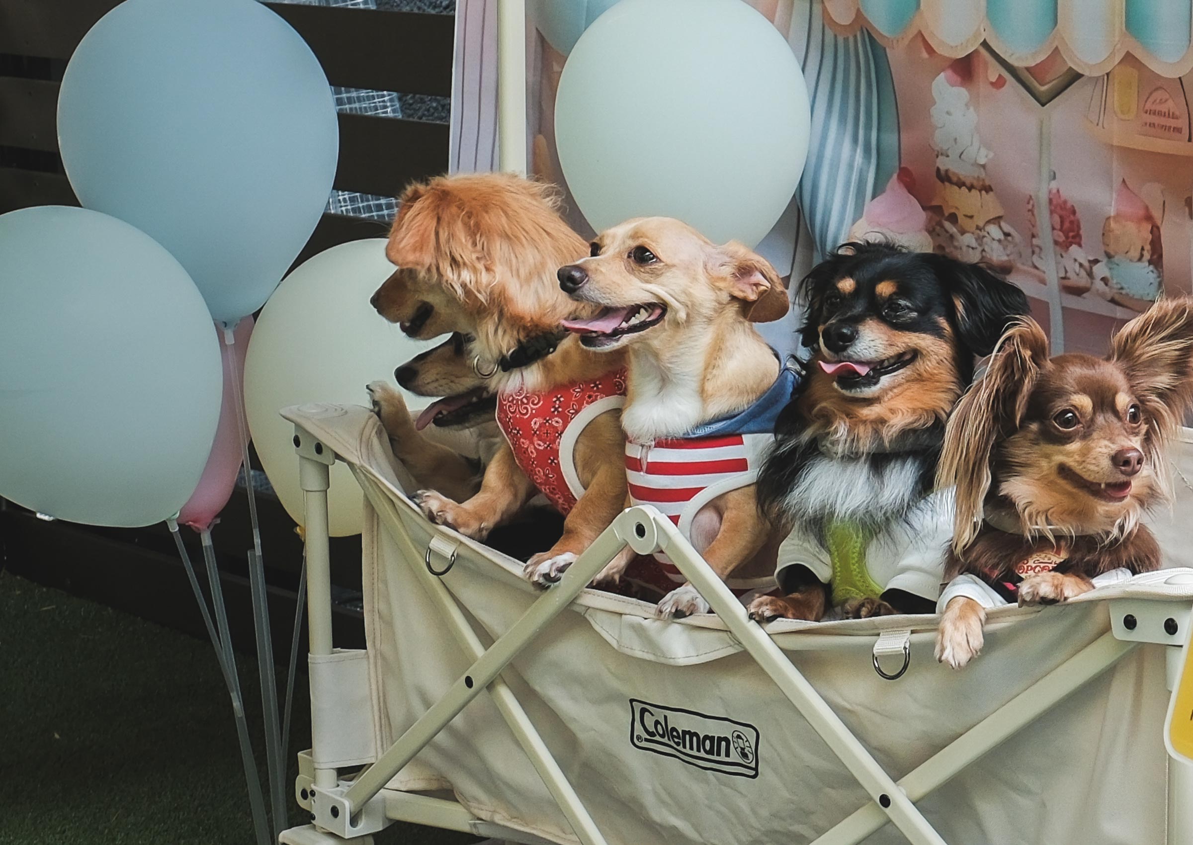 団体様向け貸切プランイメージ