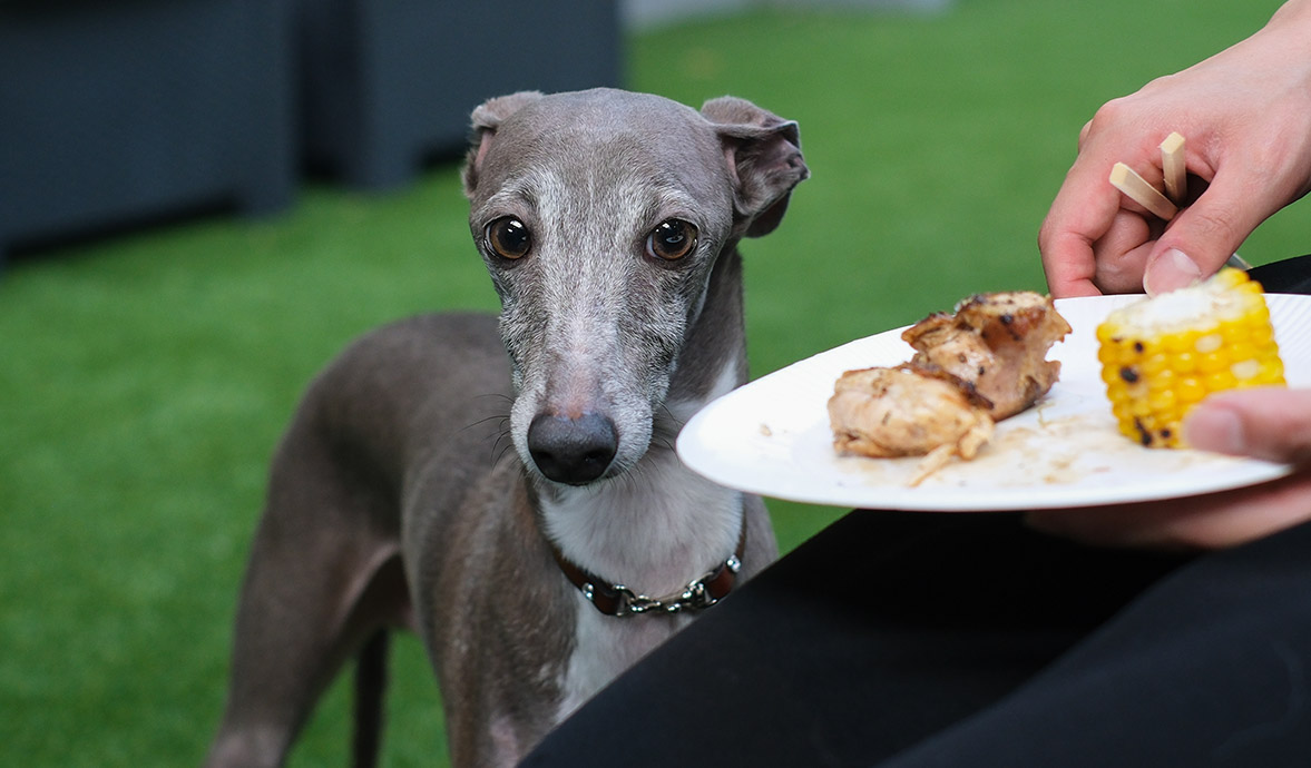 BBQセットご利用イメージ