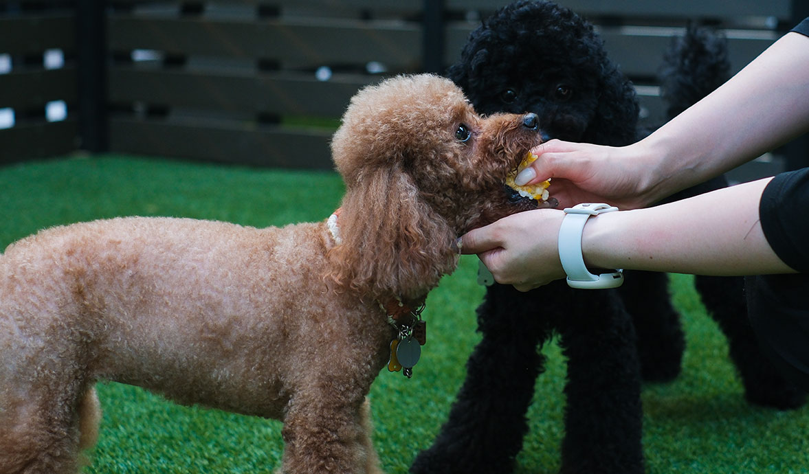 BBQセットご利用イメージ