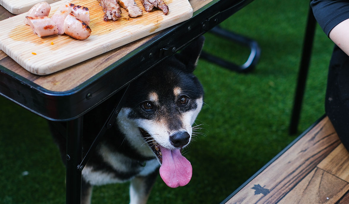 BBQセットご利用イメージ