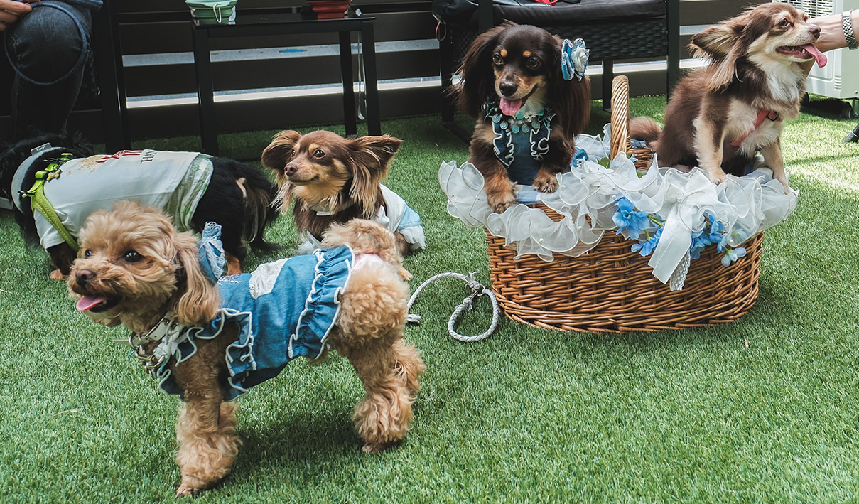 チワックスオフ会開催時の様子