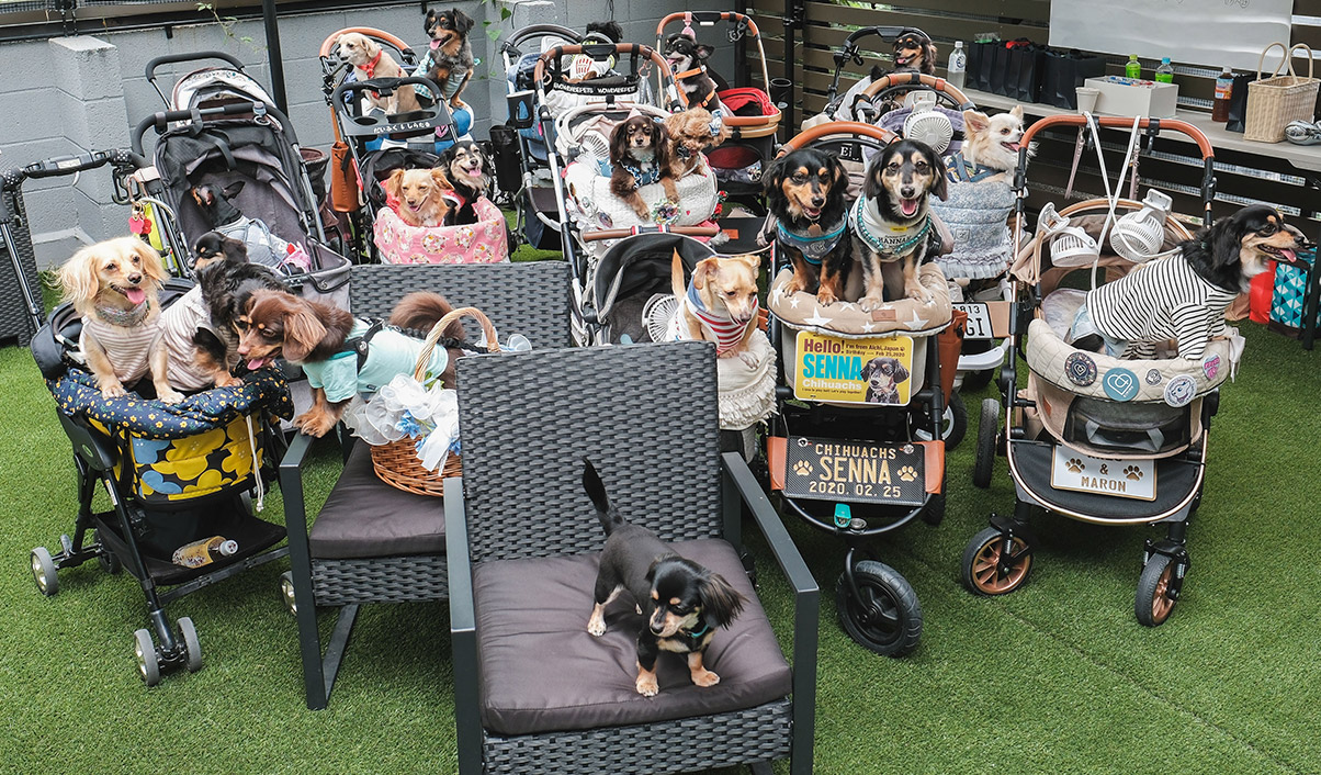 チワックスオフ会開催時の様子