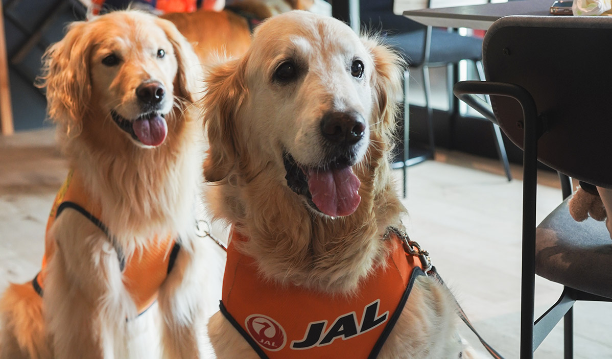 エスパルスいぬ部イベントの様子